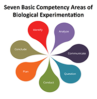Pelaez, Gardner and Anderson Presented Advancing Competencies in Experimentation - Biology (ACE-Bio) at SABER
